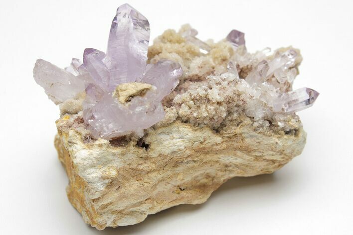 Amethyst Crystal Cluster - Las Vigas, Mexico #204526